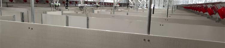 小金库钱包app下载