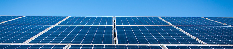 小金库钱包app下载