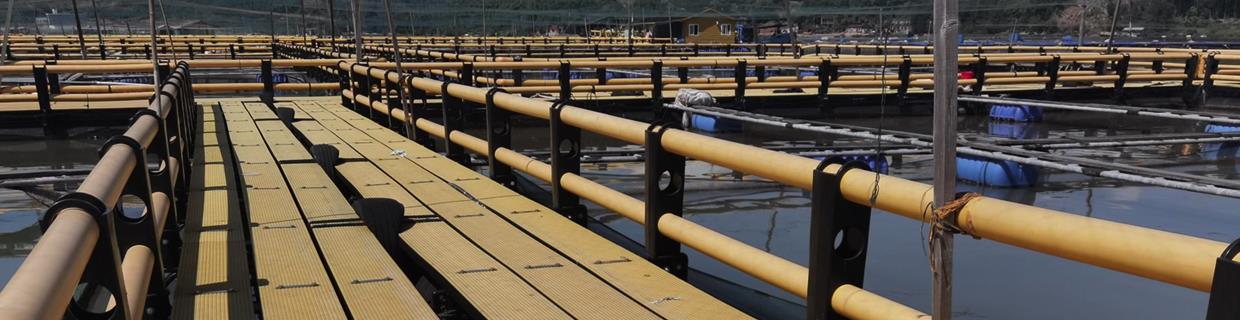 小金库钱包app下载