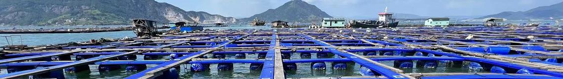 小金库钱包app下载